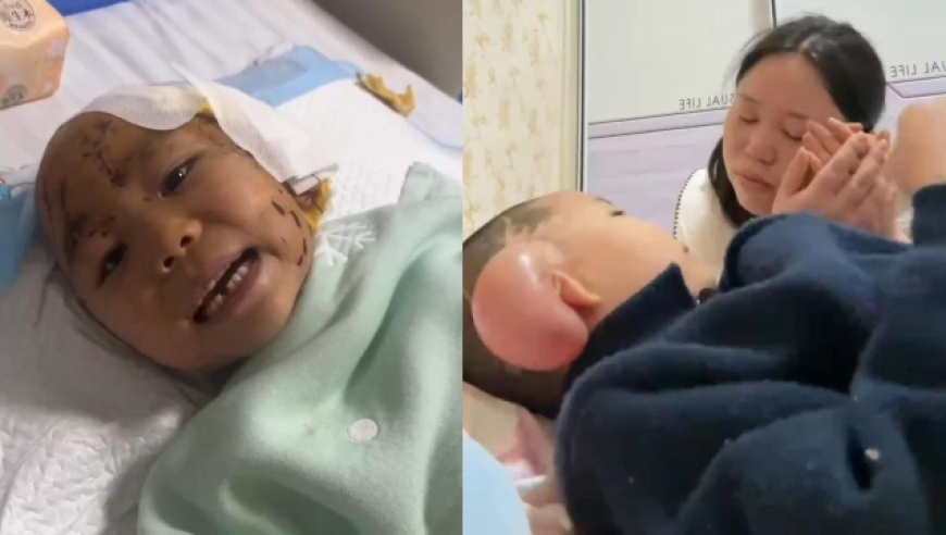 房子7年未住被小区保洁拿来养鸡,澳门三中三资料全新解密,机构预测与落实方法揭秘_网红版V10.58