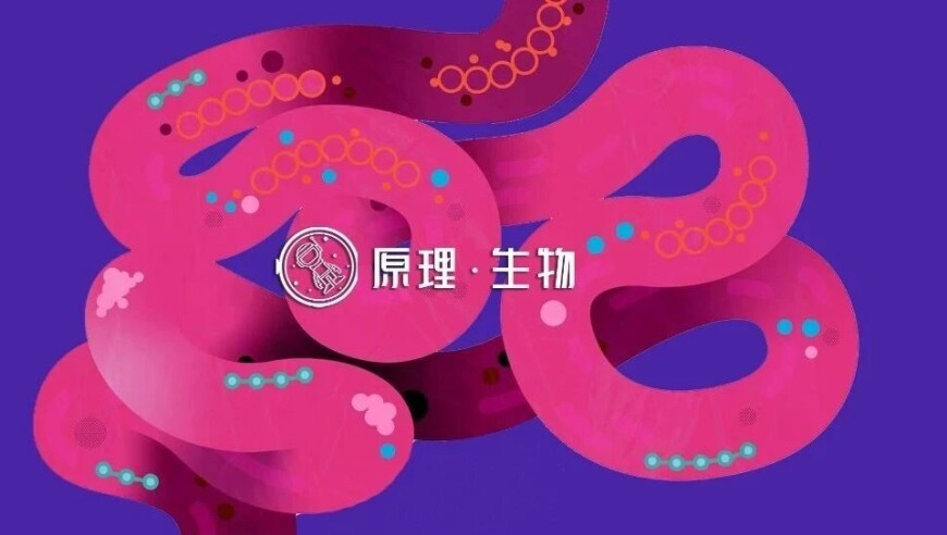 摇钱树四肖四码期期准论坛,明星在情人节官宣的原因找到了,最佳精选解释落实_精英版V6.28