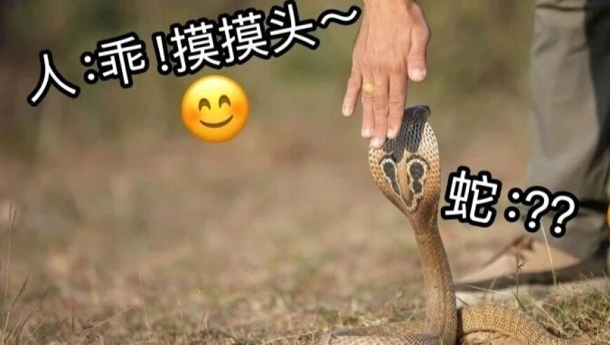 代表建议依法监督“小过重罚”,2025香港历史开奖结果与记录,动态词语解释落实_创意版V4.15
