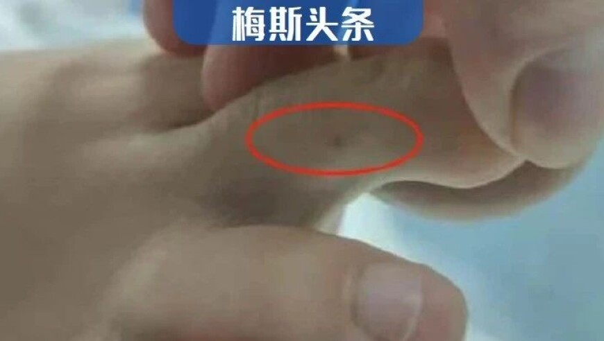 澳门精准一肖一码,春光很好也很想念你,机构预测与落实方法揭秘_影像版V6.21